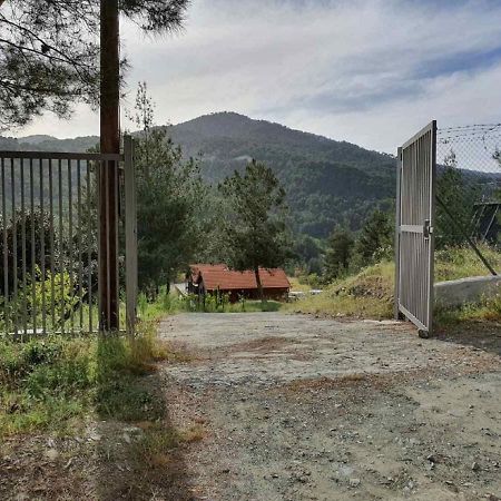 The Cosy Mountain Cabin With Stunning Views Near Troodos Kato Amiandos Zewnętrze zdjęcie