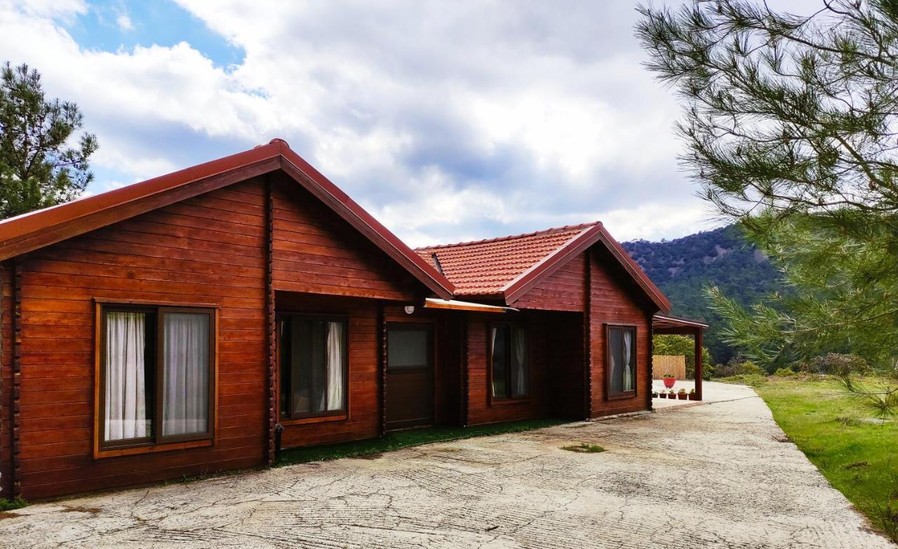 The Cosy Mountain Cabin With Stunning Views Near Troodos Kato Amiandos Zewnętrze zdjęcie