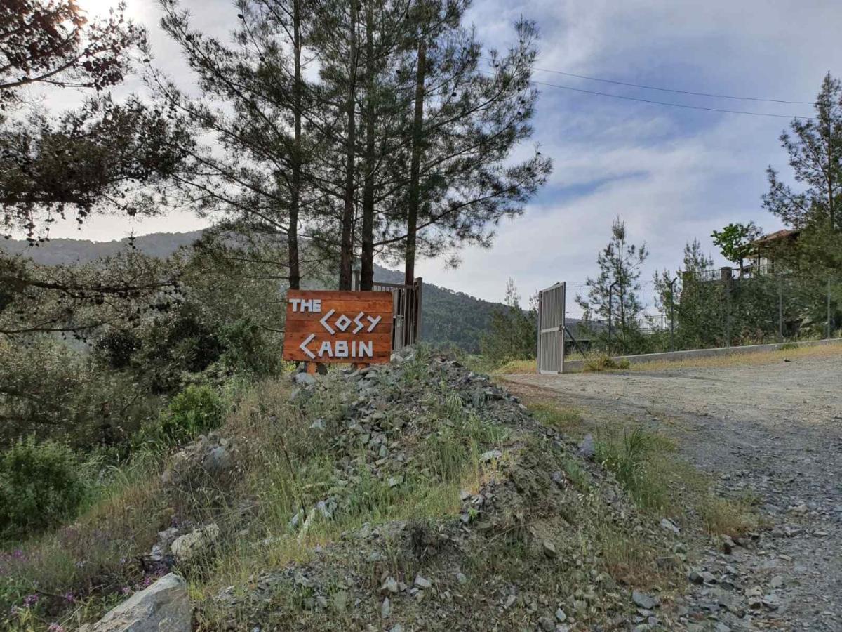 The Cosy Mountain Cabin With Stunning Views Near Troodos Kato Amiandos Zewnętrze zdjęcie