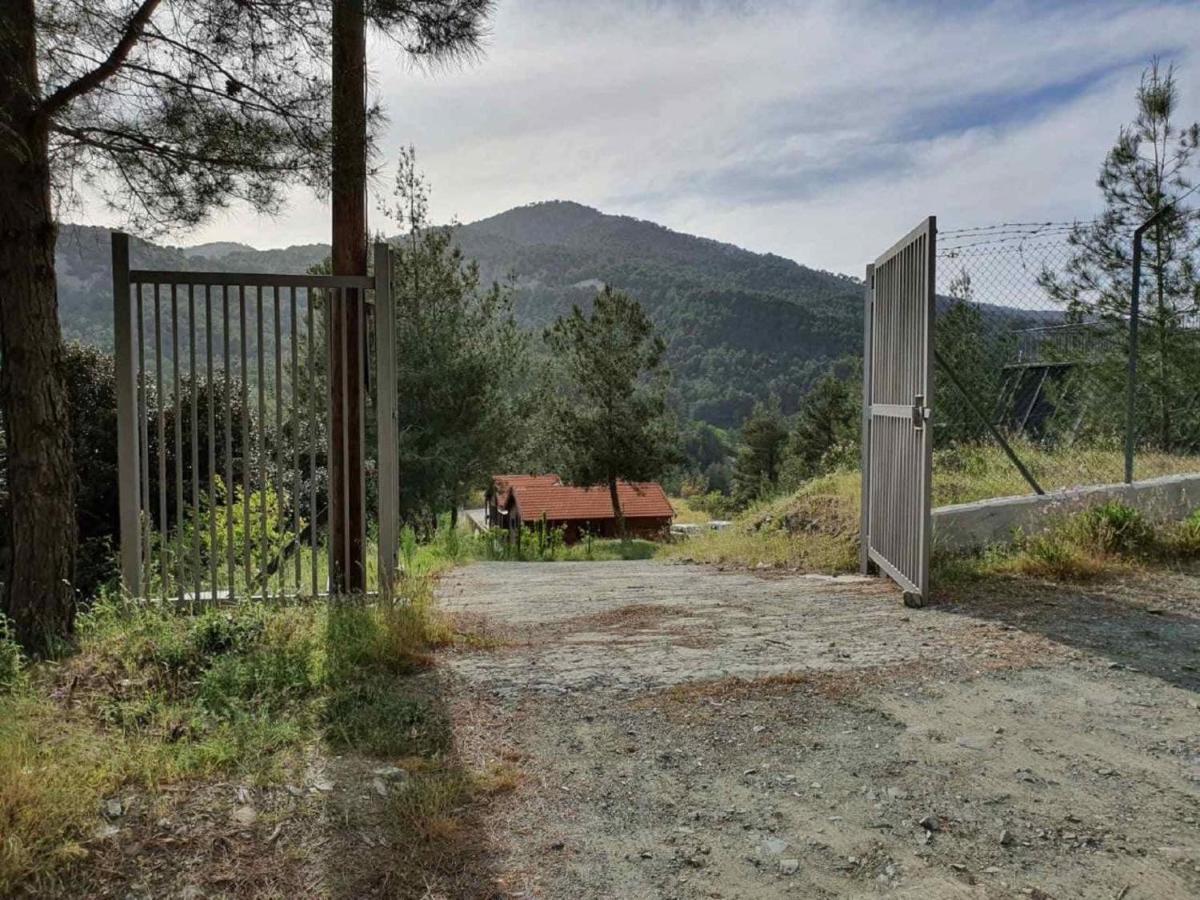 The Cosy Mountain Cabin With Stunning Views Near Troodos Kato Amiandos Zewnętrze zdjęcie